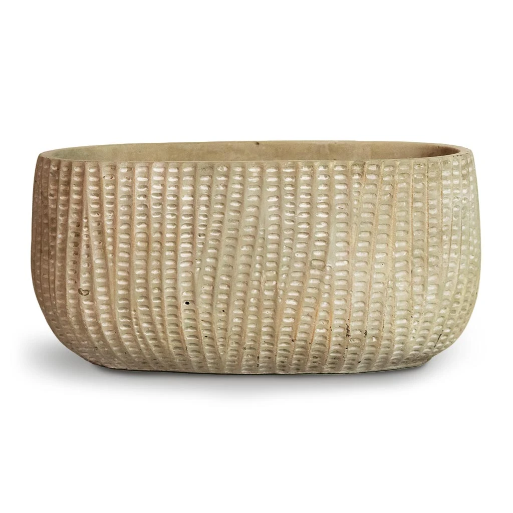 Feico Oval Plant Bowl - Mint Grey 3 Feico Oval Plant Bowl - Mint Grey