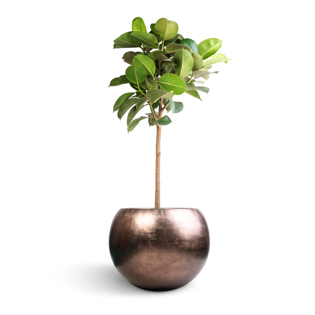 Metallic Globe Plant Pot - Matt Coffee 11 Metallic Globe Plant Pot - Matt Coffee - Image 9