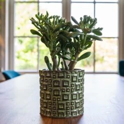 Fiene Plant Pot - Green -HousePlants Shop Fiene Green 1