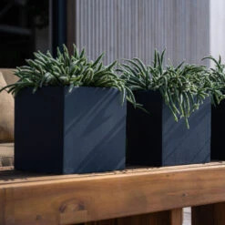 Fleur Natural Planter - Black -HousePlants Shop FleurNaturalPlanter Black 5
