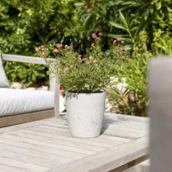 Gerben Plant Pot - Grey Washed -HousePlants Shop Gerben Plant Pot Grey Washed Plant Pot Houseplant