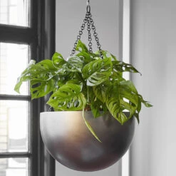 Gradient Hanging Plant Bowl - Matt Coffee -HousePlants Shop Gradient Hanging Bowl Matt Coffee