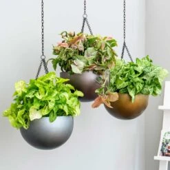Gradient Hanging Plant Bowl - Matt Grey -HousePlants Shop Gradient Hanging Plant Bowl a846980a 9fed 4358 b541 f69e0e6c33f4