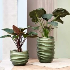 Gradient Lee Couple Planter - Matt Forest -HousePlants Shop Gradient Lee Couple Planters Matt Forest 1 e67c3ba1 1eaa 4792 8aea 0ed7b24fe67c