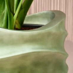 Gradient Lee Partner Planter - Matt Forest 16 Gradient Lee Partner Planter - Matt Forest -HousePlants Shop Gradient Lee Planter Matt Forest 1