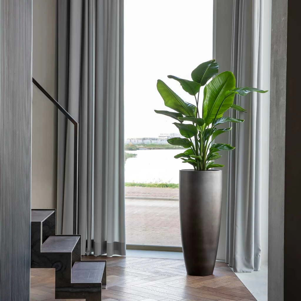 Gradient Partner Planter - Matt Grey 5 Gradient Partner Planter - Matt Grey - Image 3