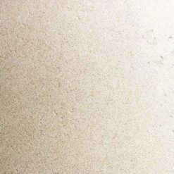 Grigio Cylinder Planter - Antique White Concrete -HousePlants Shop Grigio Antique White Concrete Swatch 167065bf 1dff 489a af09 98fb55100f44