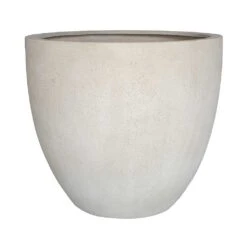 Grigio Egg Pot Planter - Antique White Concrete -HousePlants Shop Grigio Egg Pot Planter Antique White Concrete Style