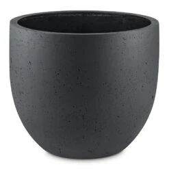 Grigio New Egg Pot Planter - Anthracite Concrete -HousePlants Shop Grigio New Egg Pot Planter Anthracite Concrete 94x80cm