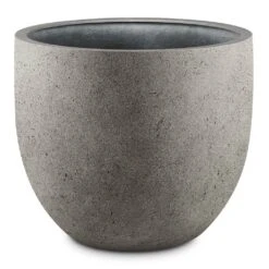 Grigio New Egg Pot Planter - Natural Concrete -HousePlants Shop Grigio New Egg Pot Planter Natural Concrete 94x80cm