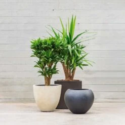 Grigio Egg Pot Planter - Antique White Concrete -HousePlants Shop Grigio Planters LS1