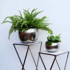 Hammered Bowl - Nickel With Black -HousePlants Shop Hammered Bowl Nickel Black LS1