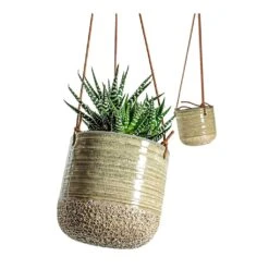 Haworthia Fasciala Alba -HousePlants Shop Haworthia fasciala Alba Issa Hanging Plant Pots Set of 2 Light Grey