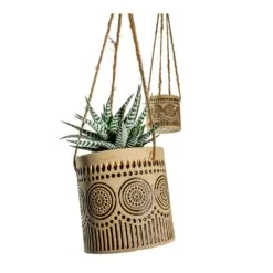 Haworthia Fasciala Alba -HousePlants Shop Haworthia fasciala Alba Syb Hanging Planters Set of 2 Gold