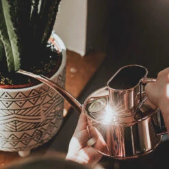 Haws Fazeley Flow Watering Can - One Pint Copper -HousePlants Shop Haws Fazeley Flow One Pint Copper LS