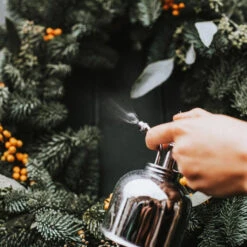 Haws Smethwick Spritzer In Nickel -HousePlants Shop Haws Smethwick Spritzer in Nickel 2