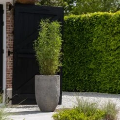 Hayes Mountain Planter - Granite Grey -HousePlants Shop Hayes Mountain Planter Granite Grey Lifestyle 2