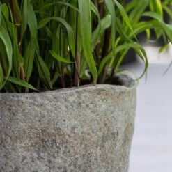 Hunter Mountain Planter - Granite Grey -HousePlants Shop Hunter Mountain Planter Granite Grey Lifestyle 1