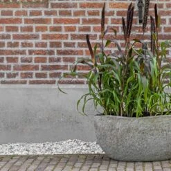 Hunter Mountain Planter - Granite Grey -HousePlants Shop Hunter Mountain Planter Granite Grey Lifestyle 3