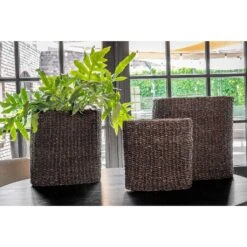 Isaac Plant Baskets - Set Of 3 - Oval - Black -HousePlants Shop Isaac Plant Baskets Set of 3 Oval Black Indoor Plants