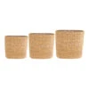 Isaac Plant Baskets - Set Of 3 - Oval - Natural 1 Isaac Plant Baskets - Set Of 3 - Oval - Natural -HousePlants Shop Isaac Plant Baskets Set of 3 Round Natural