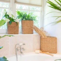 Isaac Plant Baskets - Set Of 3 - Oval - Natural -HousePlants Shop Isaac Plant Baskets Set of 3 Round Natural Houseplants