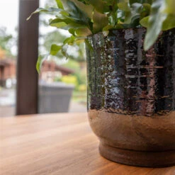 Jayla Plant Pot - Espresso -HousePlants Shop Jayla Espresso 2