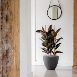 Jesslyn Granite Planter - Midnight Black -HousePlants Shop Jesslyn Granite Planter Midnight Black Lifestyle 3