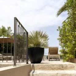 Jesslyn Natural Planter - Black -HousePlants Shop Jesslyn Natural Planter Black 1