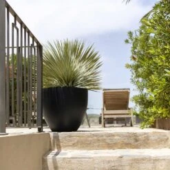 Jesslyn Natural Planter - Black -HousePlants Shop Jesslyn Natural Planter Black Large Patio Planter da61951c e7e8 4898 be23 5e29fba17043