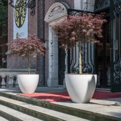 Jesslyn Refined Planter - Natural White -HousePlants Shop Jesslyn Refined Planter Natural White Doorway Planters