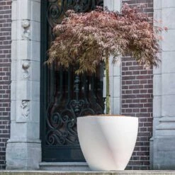 Jesslyn Refined Planter - Natural White -HousePlants Shop Jesslyn Refined Planter Natural White Tree Planters