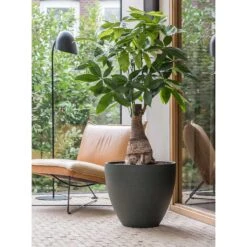 Jesslyn Refined Planter - Pine Green 16 Jesslyn Refined Planter - Pine Green -HousePlants Shop Jesslyn Refined Planter Pine Green Office Planters
