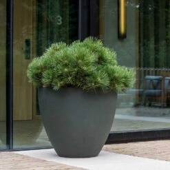 Jesslyn Refined Planter - Pine Green 13 Jesslyn Refined Planter - Pine Green -HousePlants Shop Jesslyn Refined Planter Pine Green Outdoor Planter