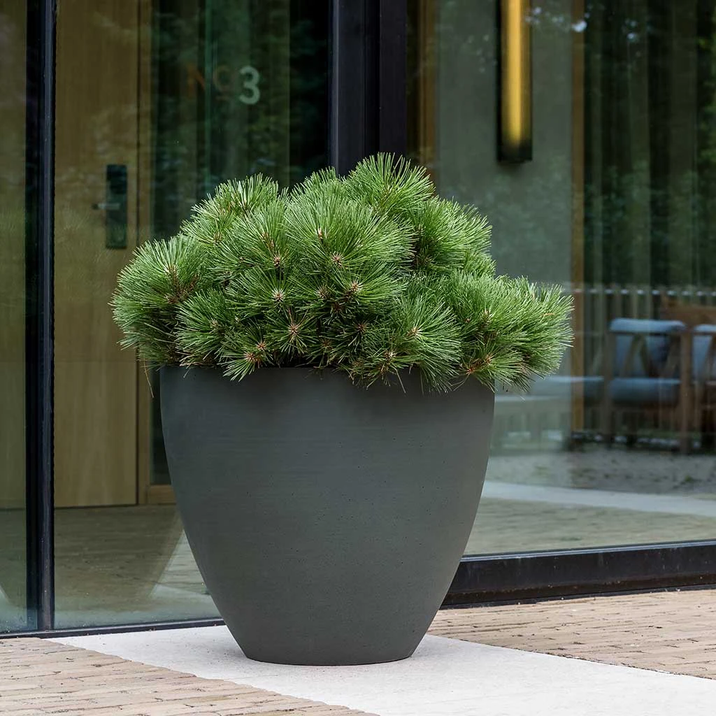 Jesslyn Refined Planter - Pine Green 4 Jesslyn Refined Planter - Pine Green - Image 2