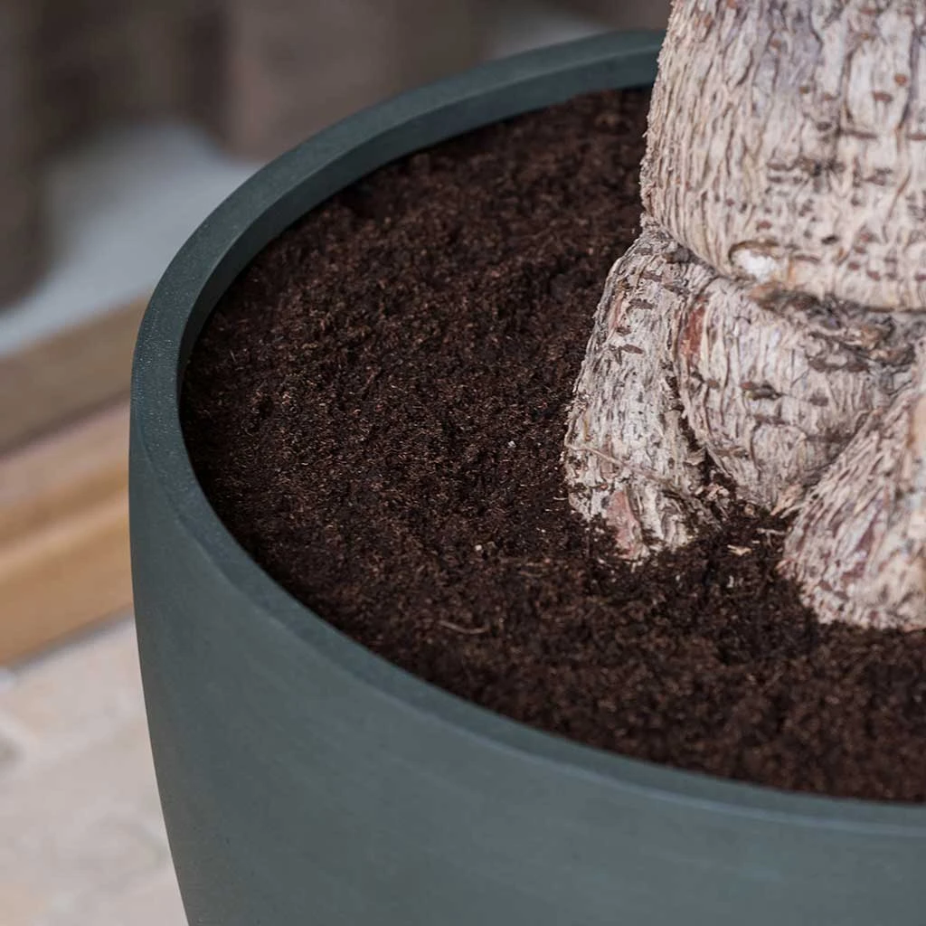 Jesslyn Refined Planter - Pine Green 8 Jesslyn Refined Planter - Pine Green - Image 6