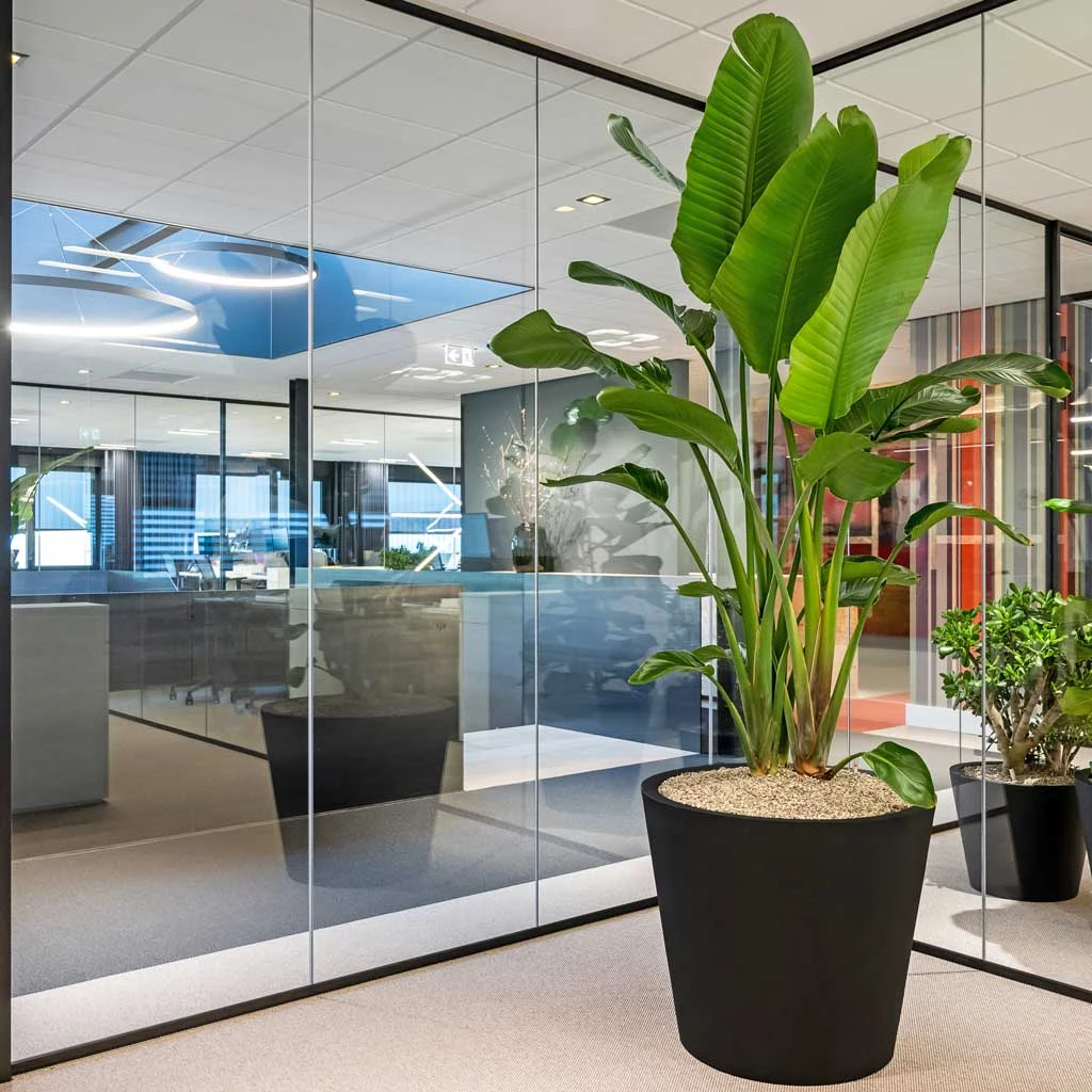 Jumbo Bucket Natural Planter - Black 6 Jumbo Bucket Natural Planter - Black - Image 4