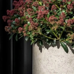 Jumbo Charlie Planter - Stone Washed -HousePlants Shop Jumbo Charlie Planter Stone Washed Close Up