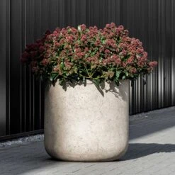 Jumbo Charlie Planter - Stone Washed -HousePlants Shop Jumbo Charlie Planter Stone Washed Garden Plant