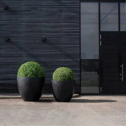 Jumbo Jesslyn Natural Planter - Black -HousePlants Shop Jumbo Jesslyn Natural Planter Black Entrance Planters