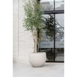 Jumbo Orb Planter - Stone Washed -HousePlants Shop Jumbo Orb Planter Stone Washed Garden Tree