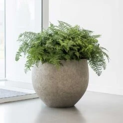 Jumbo Orb Planter - Stone Washed -HousePlants Shop Jumbo Orb Planter Stone Washed Office Plants