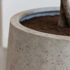 Jumbo Patt Planter - Stone Washed -HousePlants Shop Jumbo Patt Planter Stone Washed Close Up