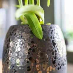 Kae Plant Vase - Mocha -HousePlants Shop Kae Plant Vase Mocha Close Up