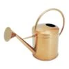Kensington Indoor Traditional Watering Can 2L - Copper -HousePlants Shop Kensington Indoor Traditional Watering Can 2L Copper 2