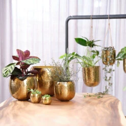 Kody Metal Plant Pots - Set Of 3 - Large - Gold -HousePlants Shop Kody Metal Plant Pots Set of 2 Small Gold Lifestyle 03 bf2f59c4 923f 4f0e a93b e51472cb34a5