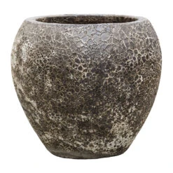 Lava Balloon Relic Planter - Black -HousePlants Shop Lava Balloon Relic Planter Black 54x50cm