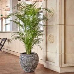 Lava Balloon Relic Planter - Rust -HousePlants Shop Lava Balloon Relic Rust Metal