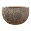 Lava Bowl Relic Planter - Rust -HousePlants Shop Lava Bowl Relic Planter Rust