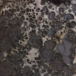 Lava Balloon Relic Planter - Black -HousePlants Shop Lava Couple Straight Relic Planter Black 2 a4a94e3a 86a4 4f76 9d1c 74e7adeb397d